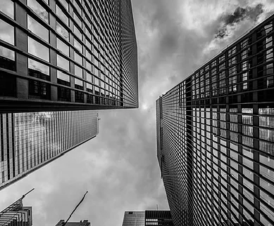 Berry Business District
